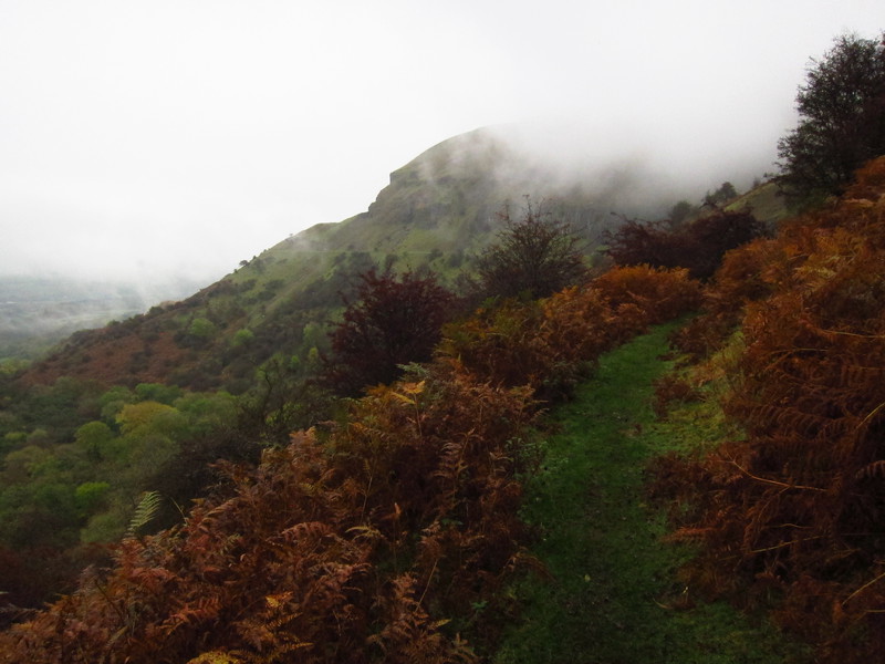 2016-10-29_13h43m-BenHonan-PowerShotS95-AgenAllwedd-IMG_0165