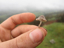 2016-10-29_14h05m-BenHonan-PowerShotS95-AgenAllwedd-IMG_0171