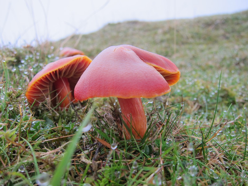 2016-10-29_14h11m-BenHonan-PowerShotS95-AgenAllwedd-IMG_0174