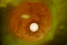 2016-10-29_21h41m-RhysTyers-SonyRX100II-Whitewalls-DSC03262