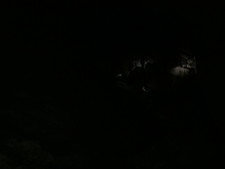 2016-10-30_14h23m-BenHonan-PowerShotS95-AgenAllwedd-IMG_0198