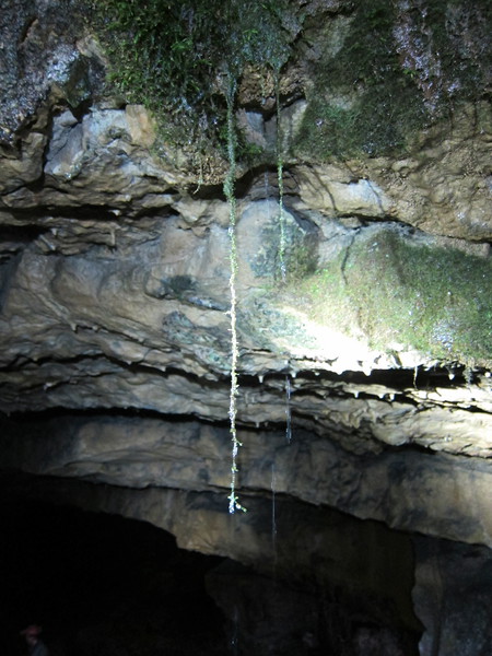 2016-10-30_16h25m-BenHonan-PowerShotS95-AgenAllwedd-IMG_0215