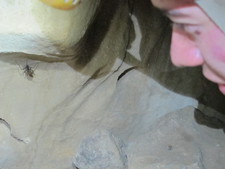 2016-10-30_16h38m-BenHonan-PowerShotS95-AgenAllwedd-IMG_0223