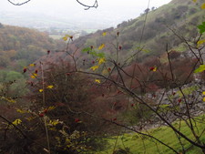 2016-10-30_16h45m-BenHonan-PowerShotS95-AgenAllwedd-IMG_0230