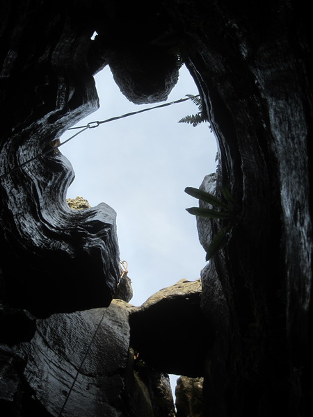 2016-11-12_12h54m-JarvistFrost-PowerShotS95-BullPot-IMG_0845