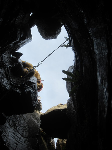 2016-11-12_12h54m-JarvistFrost-PowerShotS95-BullPot-IMG_0846