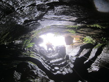 2016-11-12_12h55m-JarvistFrost-PowerShotS95-BullPot-IMG_0849