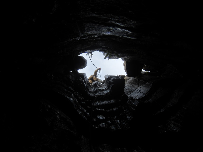 2016-11-12_13h00m-JarvistFrost-PowerShotS95-BullPot-IMG_0862