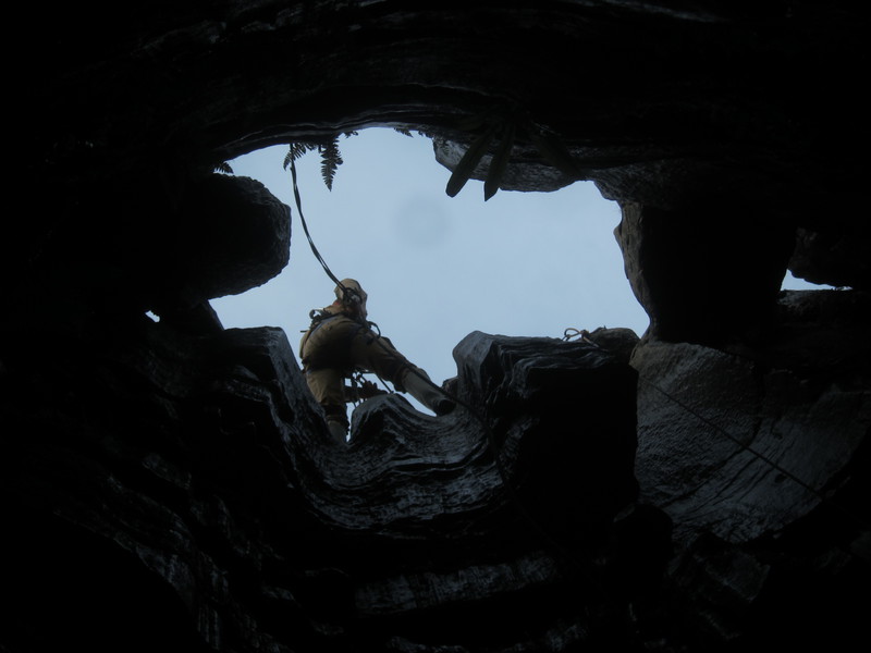 2016-11-12_13h00m-JarvistFrost-PowerShotS95-BullPot-IMG_0863