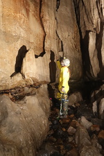 2016-11-12_17h02m-RhysTyers-SonyRX100II-Jingling-DSC03378