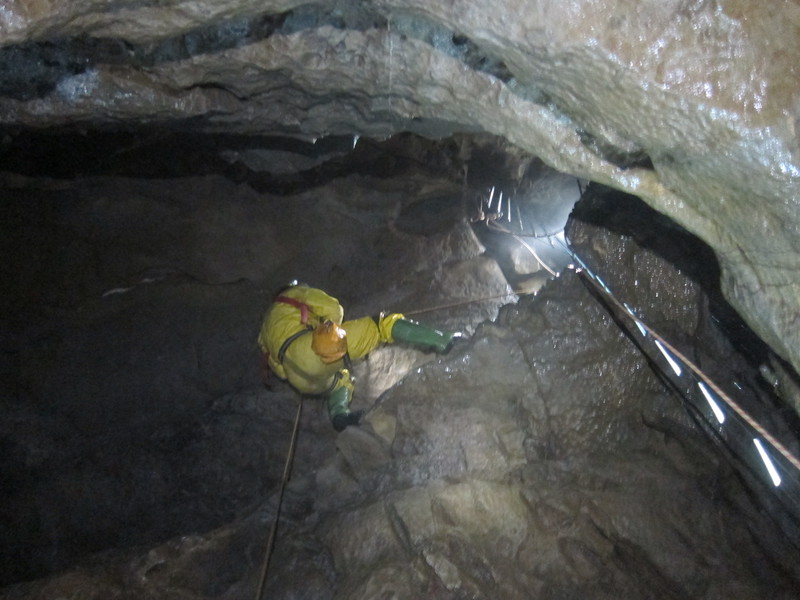 2016-11-13_12h22m-JarvistFrost-PowerShotS95-BullPot-IMG_0885