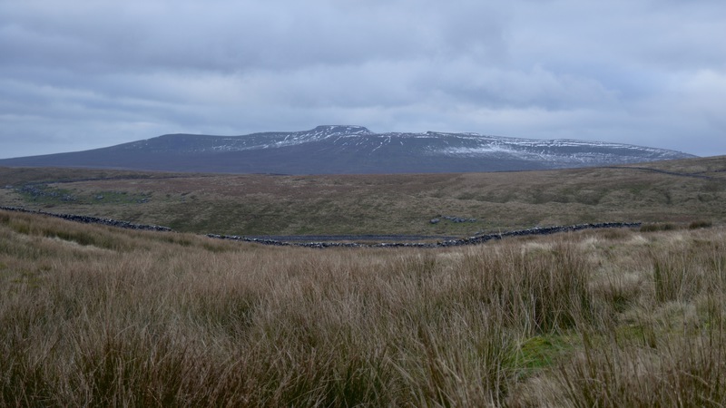 2016-11-27_13h39m-TanguyRacine-NikonD3200-HuntPot-DSC_0161