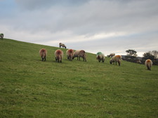 2016-11-27_16h22m-BenHonan-PowerShotS95-SellGill-IMG_0403