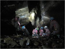 Thumbnail of photo from this article