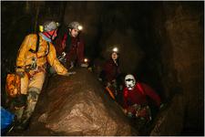 Thumbnail of photo from this article